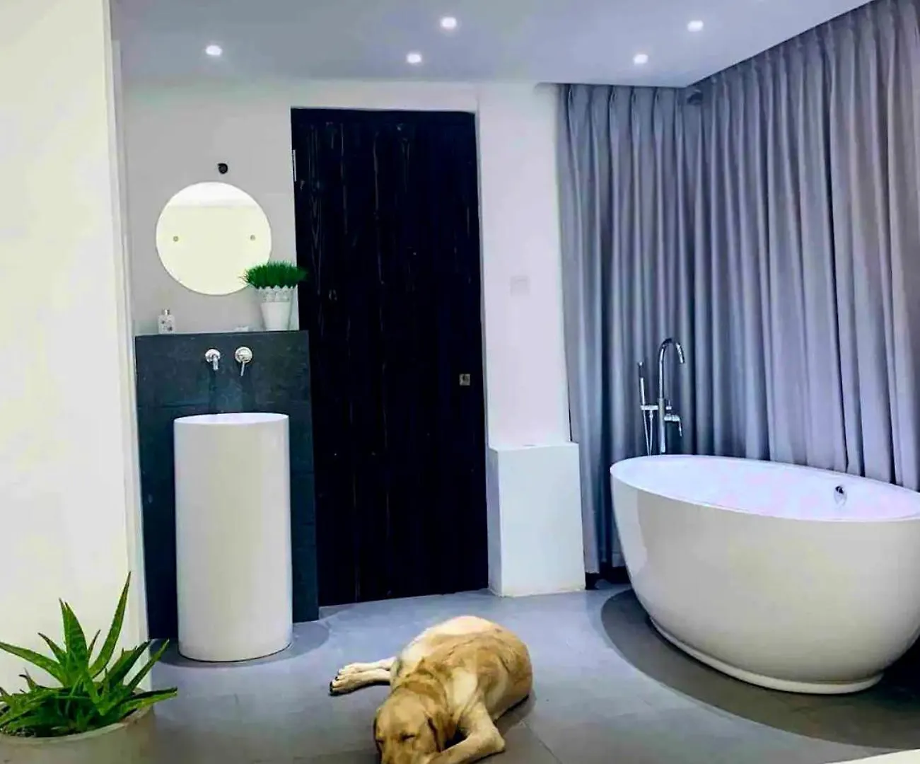 Riverside Retreat Cozy Space,Endless Views Apartment Kandy