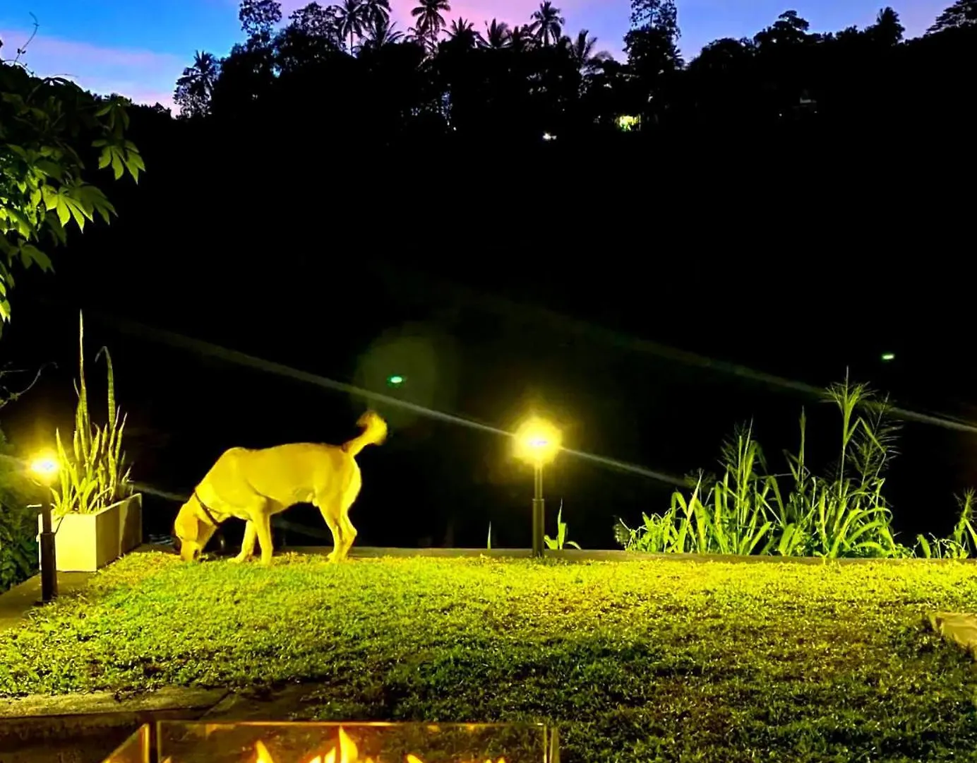 Riverside Retreat Cozy Space,Endless Views Apartment Kandy Sri Lanka